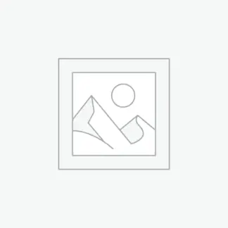 Zástupný symbol